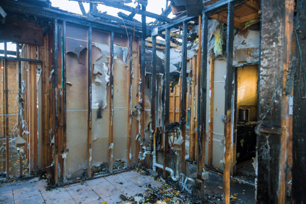 Professional Fire Damage Removal technician working in Marionville, MO